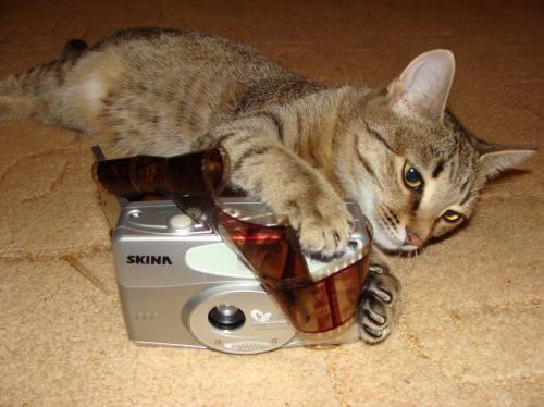 ������ ������ �����