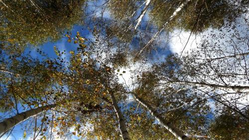 ������ � �������.