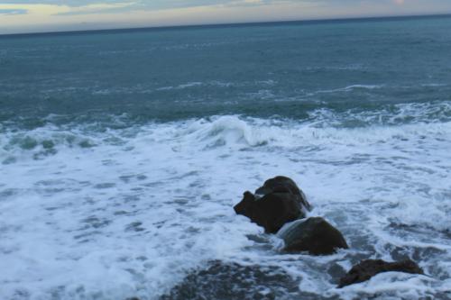 ������������ ���� 