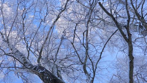 ����� ����� ����