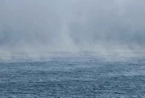 ������� ������ ������ �������