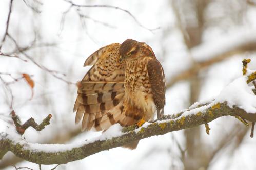 �������� ������ � �����. 