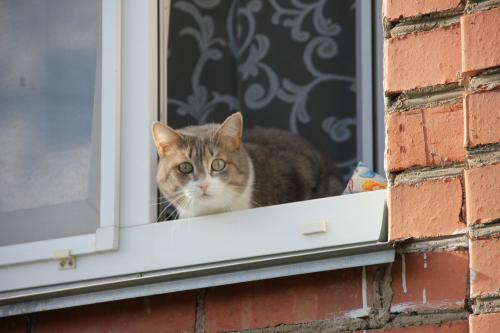 � �� ��� ?!