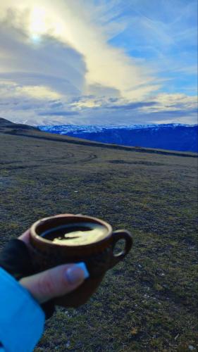 ��� ����������