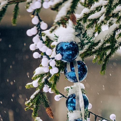 �������� ������� ������ 