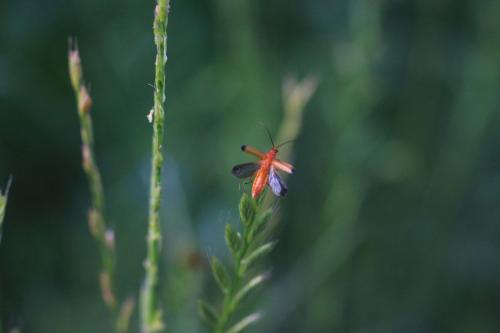 �� ������