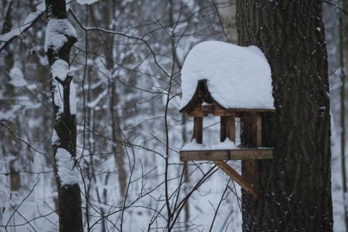 � �������� ����