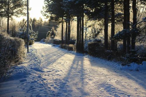 ������ ����