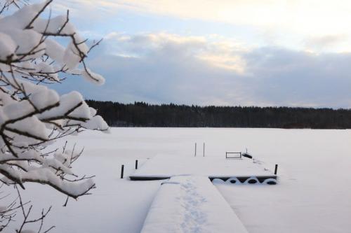 ���������� ����