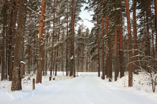 ������ ���