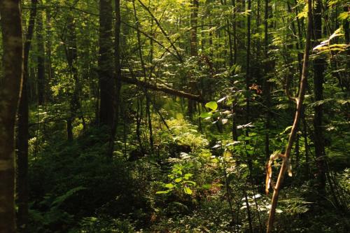 ���� � ��������