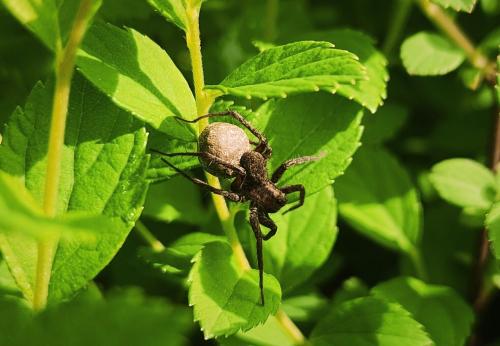 ����-����