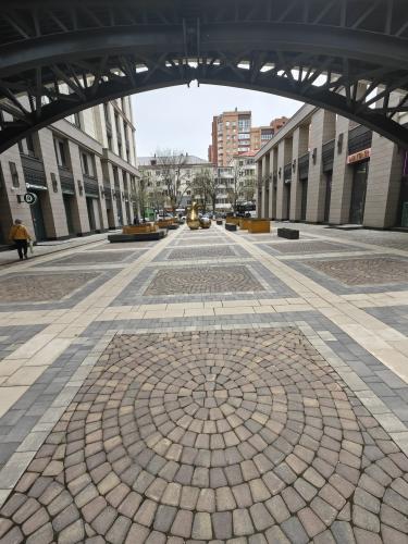 ��� ������ ���� �������