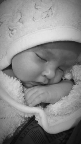 ���� �������� �������, ����� ����