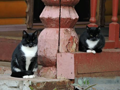 ���� � ����