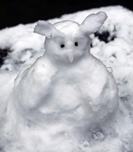 ������� ����