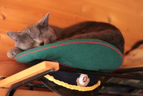 ������� �� �����