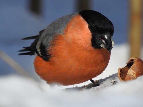 �������