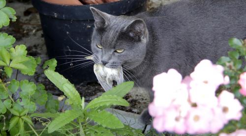 �������-��������