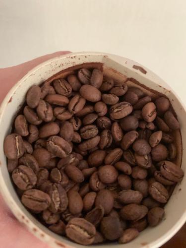 ������ ����������