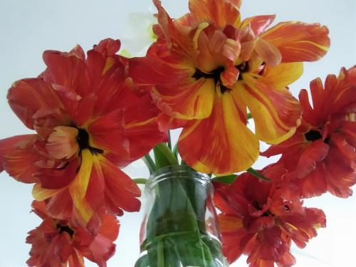 ��������