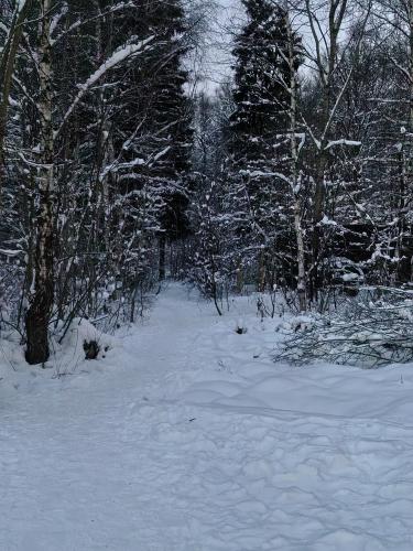 �������� ����