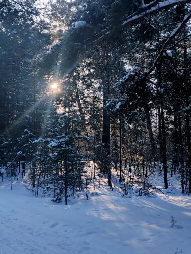 �������� �� ��������