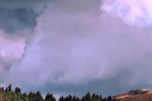 ��� � ���� ���������� 5