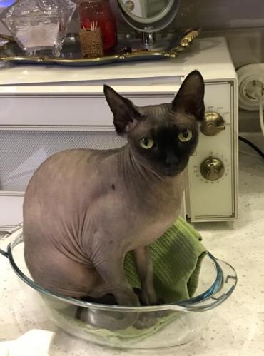 ���-�����