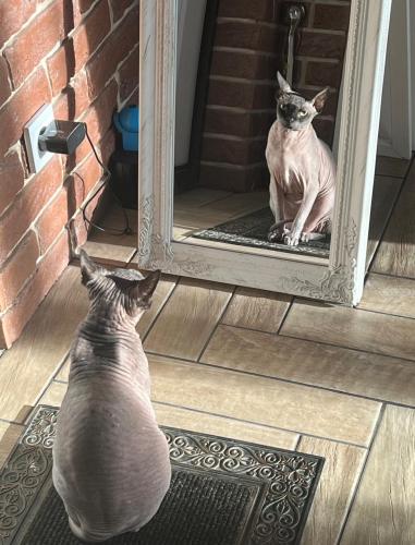 ���� ��� ��������� �����...