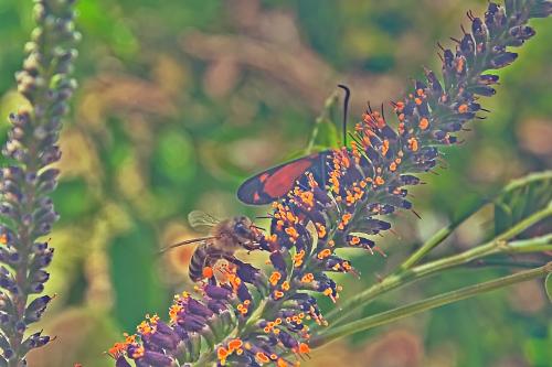 ����� � ������� ����� ������ 2