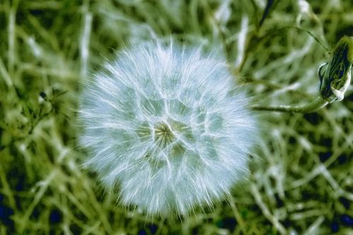 ������� ��� 4