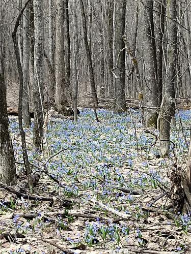 �������� ���