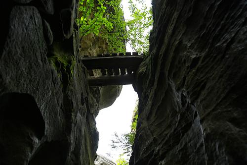 ���� ��� ���������