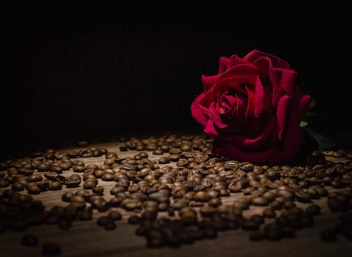 �������� ��������