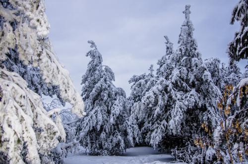 ���������� �������