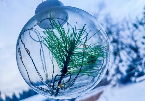 ������� ����