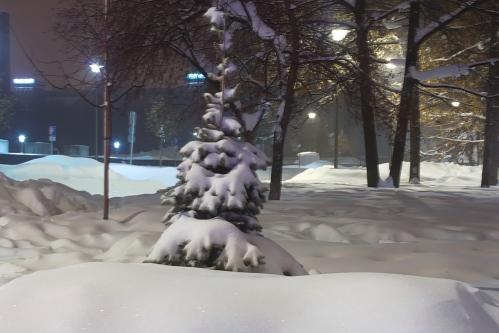 �������� ���������