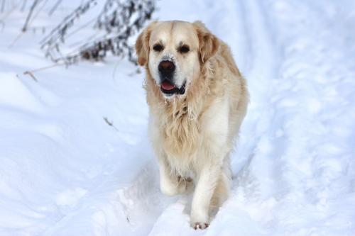 �� �����