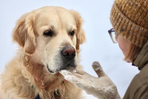 � ���������, �� ������?