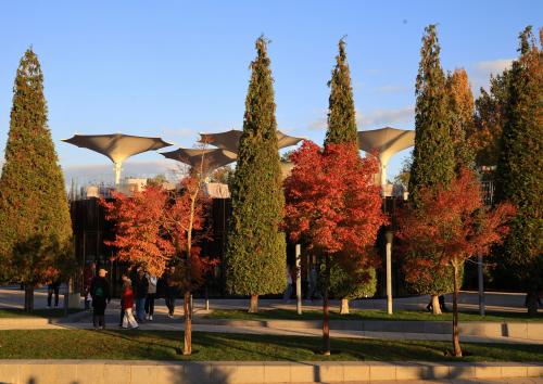 ���� ��������� ���������