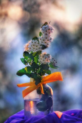 �������� ���������. 