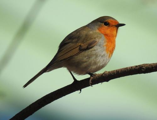 �������