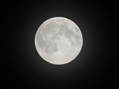 ������ ����