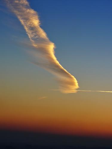 ���� ��������