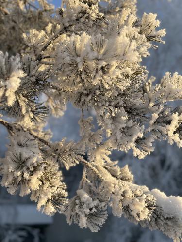 �������� ������