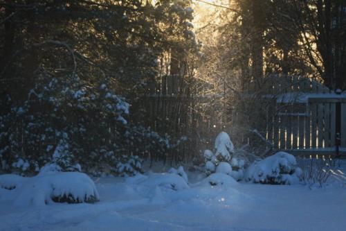 ����� �����