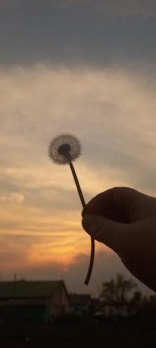 �������� � �������