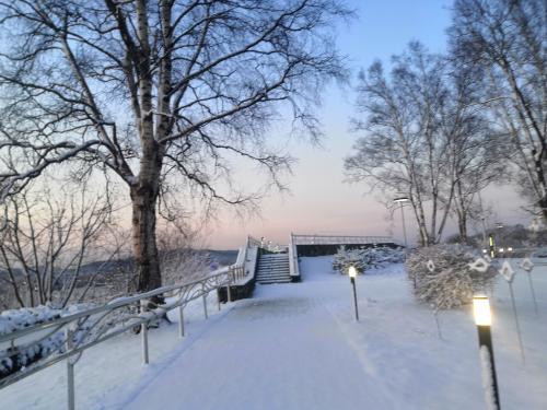 �� �������� 