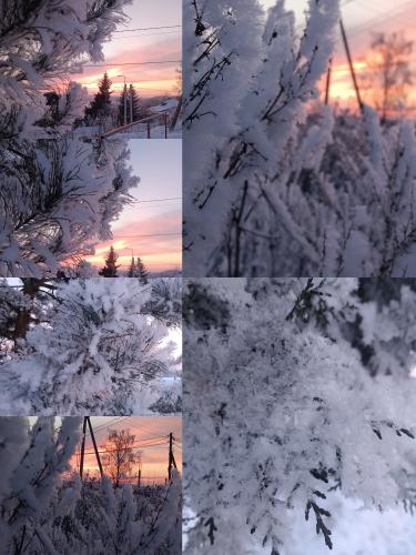 ������� ���� 